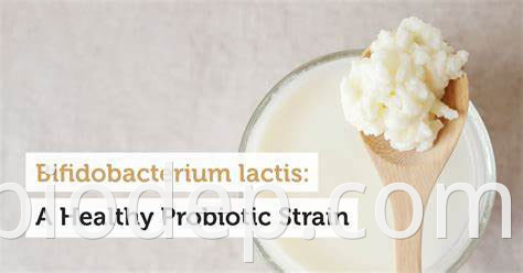 BIFIDOBACTERIUM LACTIS1 